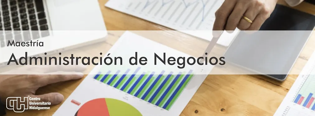 Maestria Administracion de Negocios